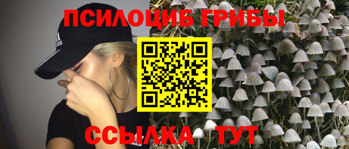 Галлюциногенные грибы Magic Shrooms  Вход с VPN  Галлюциногенные грибы Magic Shrooms  Набережные Челны 