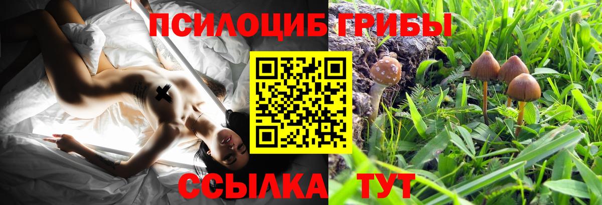 Псилоцибиновые грибы Cubensis Набережные Челны